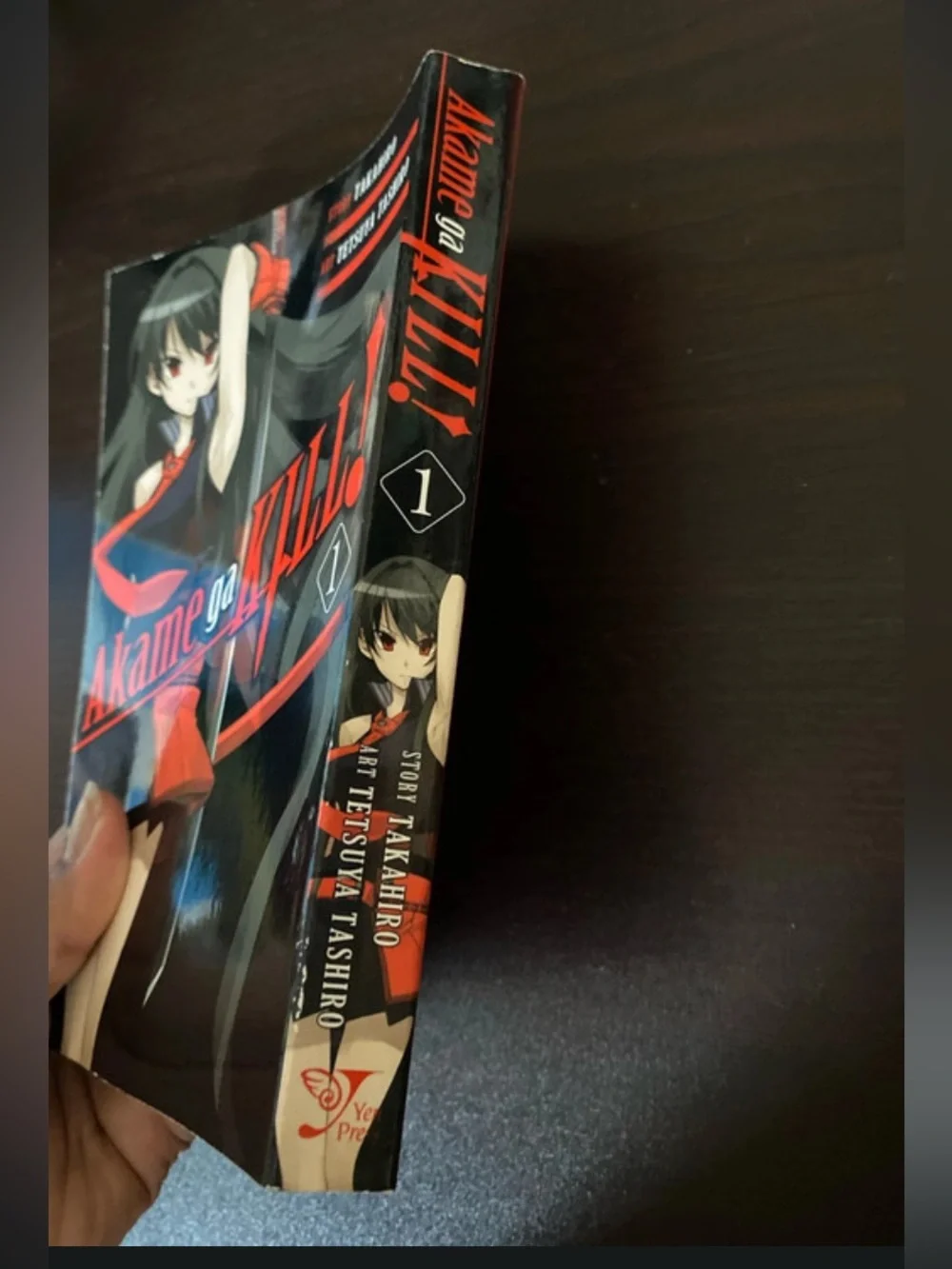 Akame ga Kill! Vol. 1 Manga - Striking Red & Black Cover